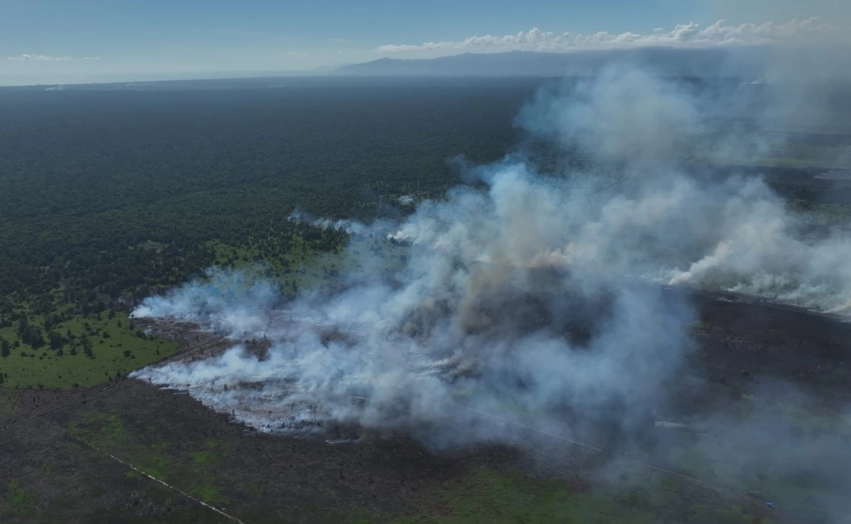 Warga Aceh Selatan Khawatir Sawit Merusak Hutan Lindung Rawa Singkil