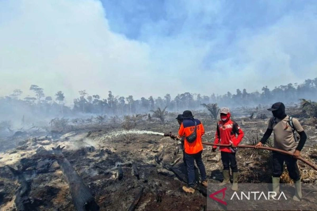 Warga Nagan Raya, Aceh Hadapi Kebakaran Lahan Gambut 17 Ha, Ancam Asap