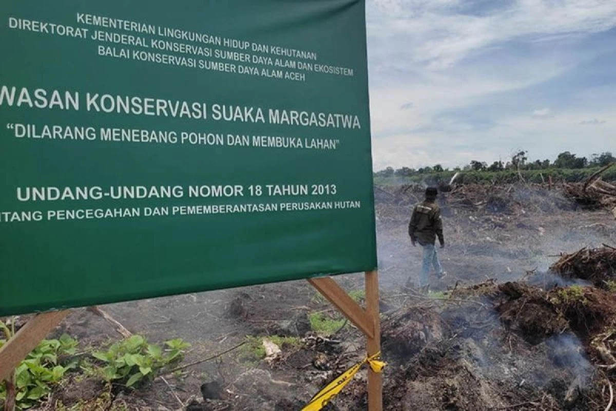 Tiga Pelaku Perambahan Hutan Rawa Singkil Ditangkap di Aceh Selatan