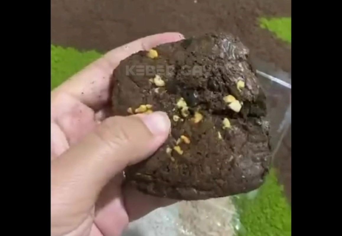 Wali Murid Aceh Tengah Protes Roti MBG Keras Seperti Batu di SD Negeri 17 Takengon