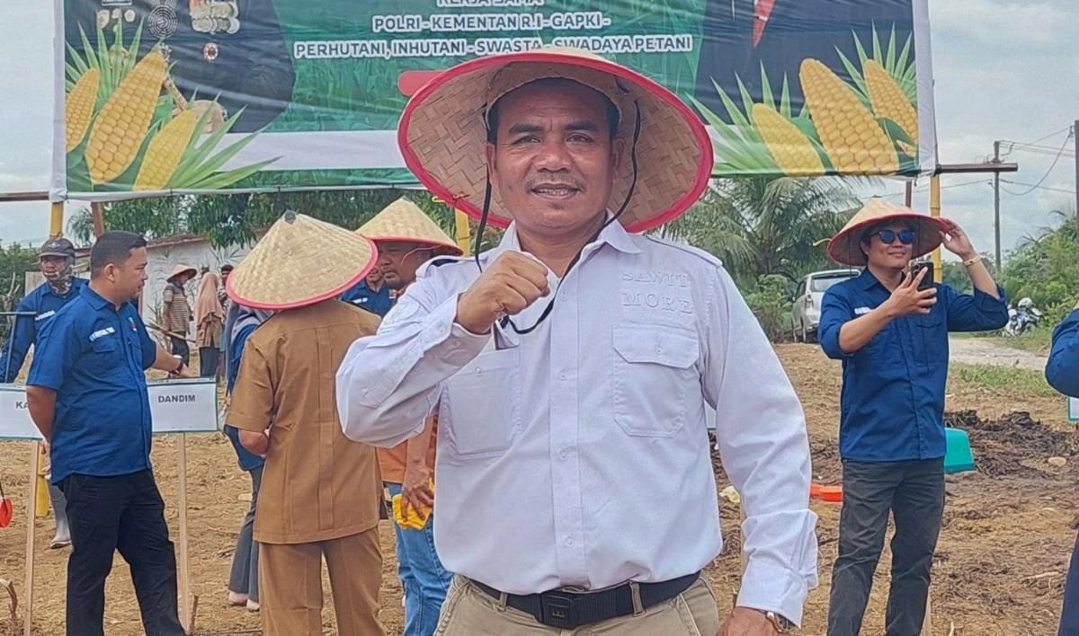 Harga TBS Sawit Aceh Naik, Petani Plasma Dapat Rp 3.850 per Kg