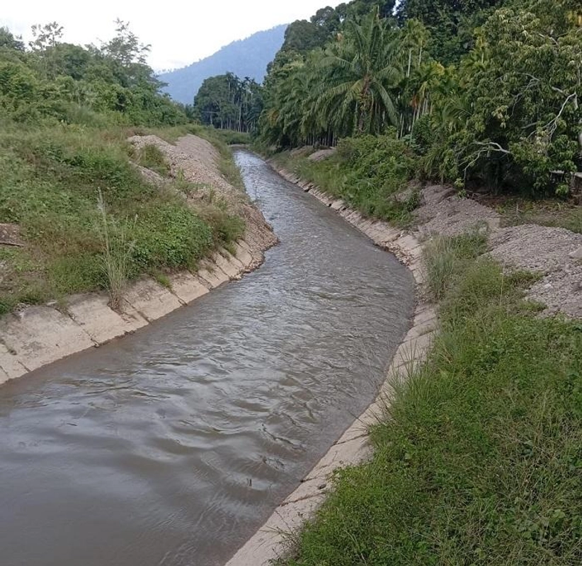 Air Irigasi Kembali Alir, 1.700 Ha Sawah Aceh Selatan Selamat
