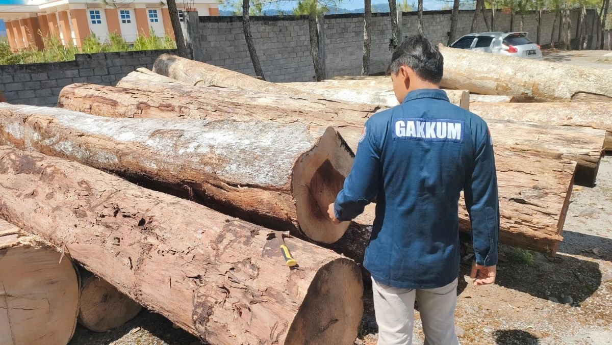 Deforestasi Aceh Didominasi Perkebunan dan APL, Aceh Selatan Terparah