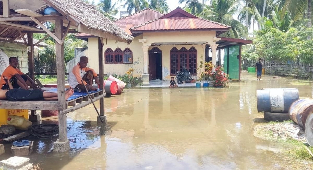 Warga Seunuddon Aceh Utara Hadapi Banjir Rob, Sawah Terendam 50 cm