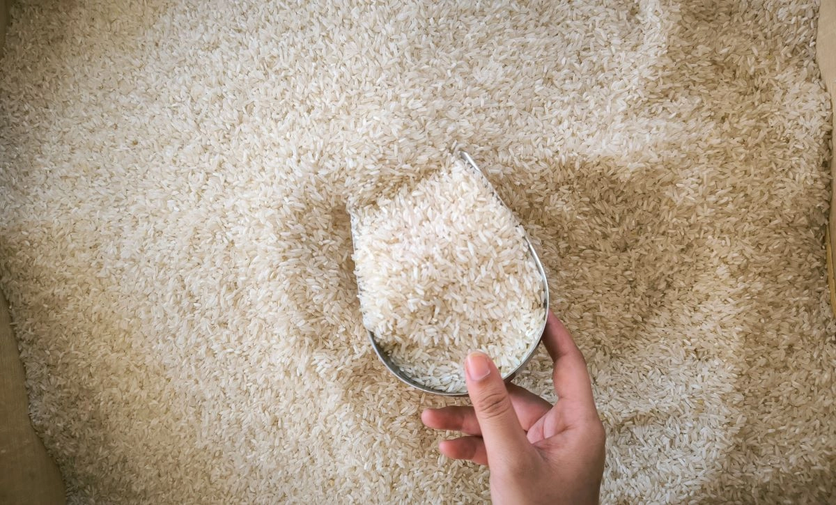 Warga Aceh Menghadapi Kenaikan Harga Beras dan Tomat, Inflasi 5,12%