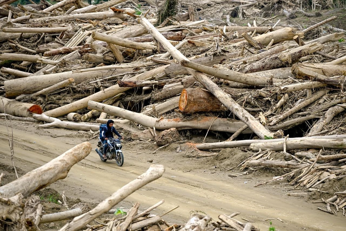 Menhut Izinkan Kayu Banjir Aceh untuk Rehabilitasi Pascabencana