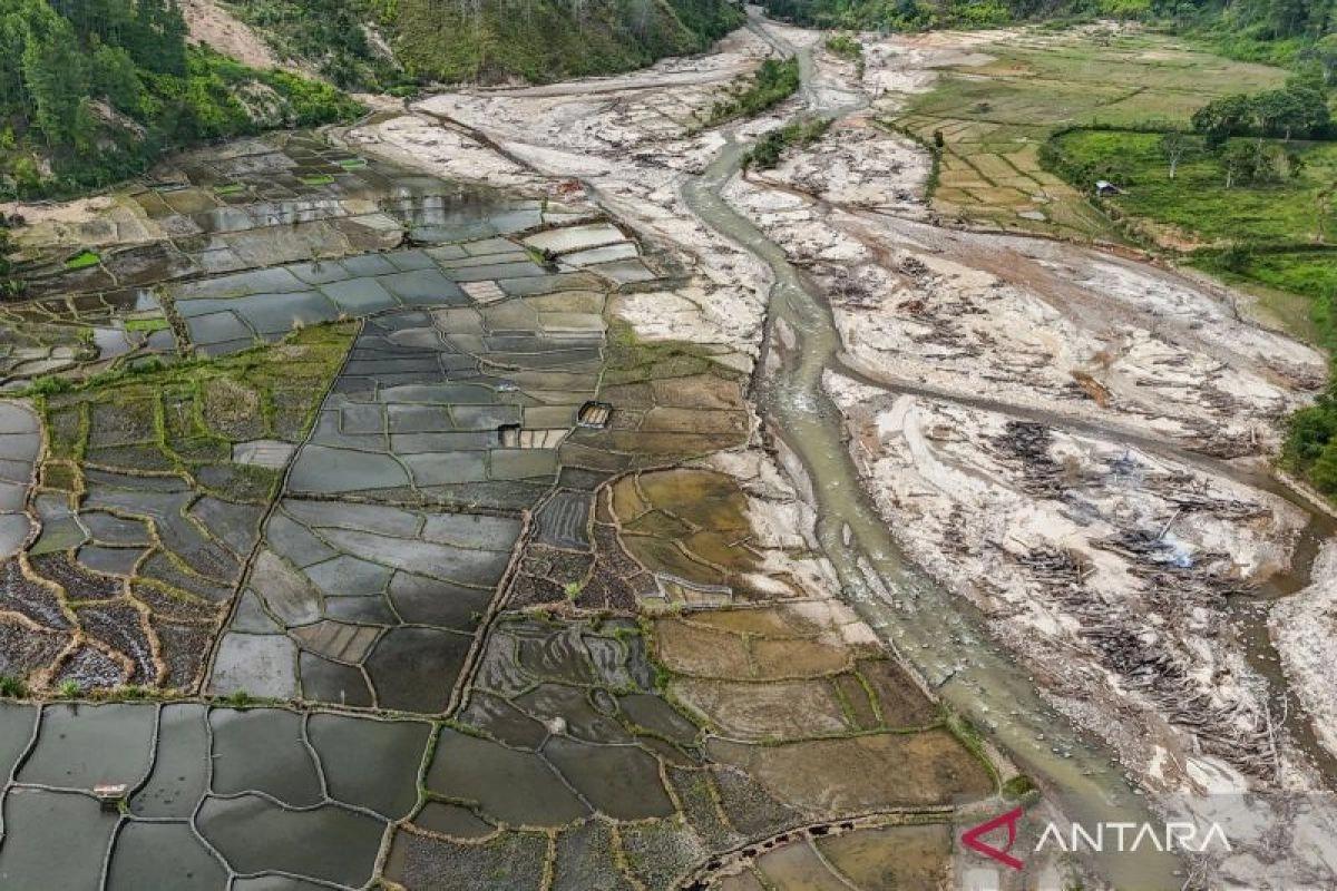 Rehabilitasi Sawah Aceh Terendah, Hanya 42 Hektare dari 31.464 Hektare