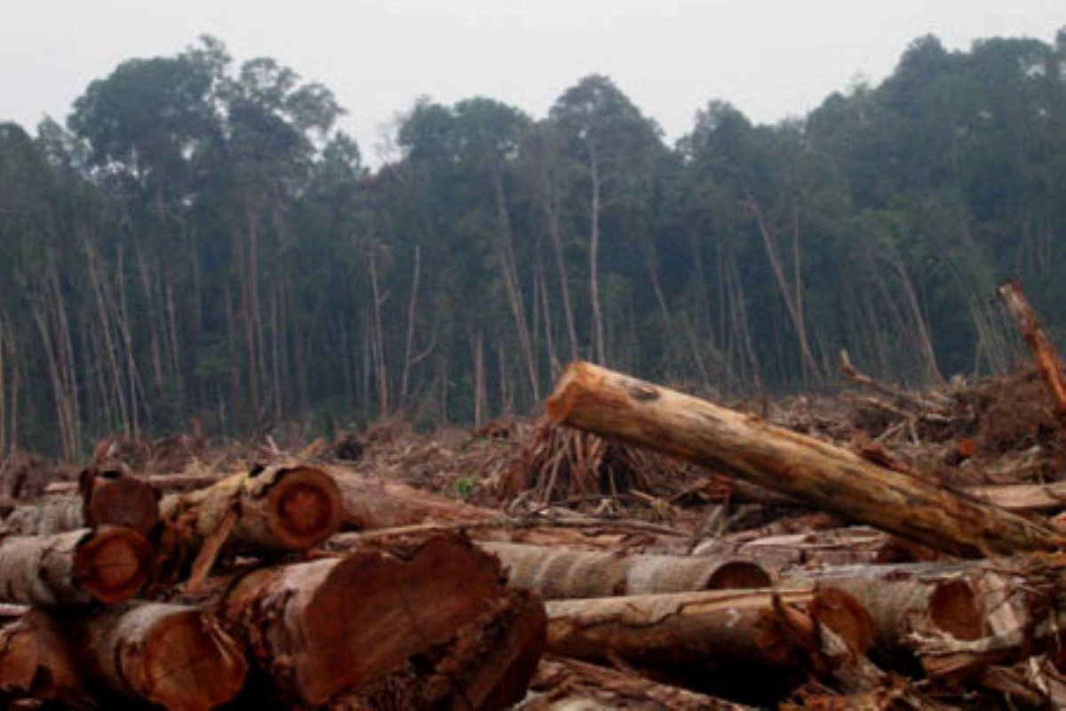 Nagan Raya Dorong Legalisasi Pawang Uteun untuk Lindungi Hutan dan Desa Ramah Iklim